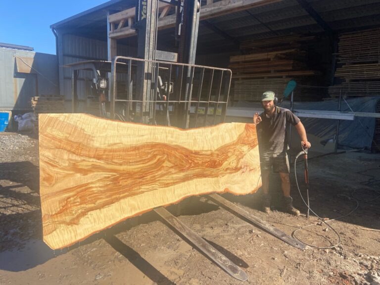 Big Timber & Slabs Sawmill