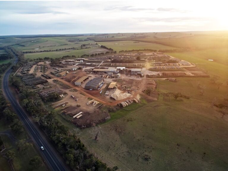 Portland Pine 768x576