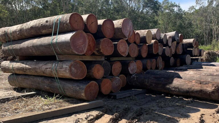 Rural fencing Hardwood logs 768x433